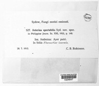 Image Associated With the Occurence